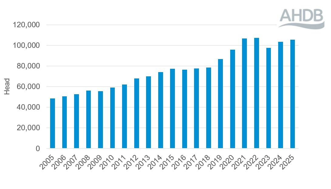 Bar chart showing English pig abattoirs average annual throughput 2005 to 2025.